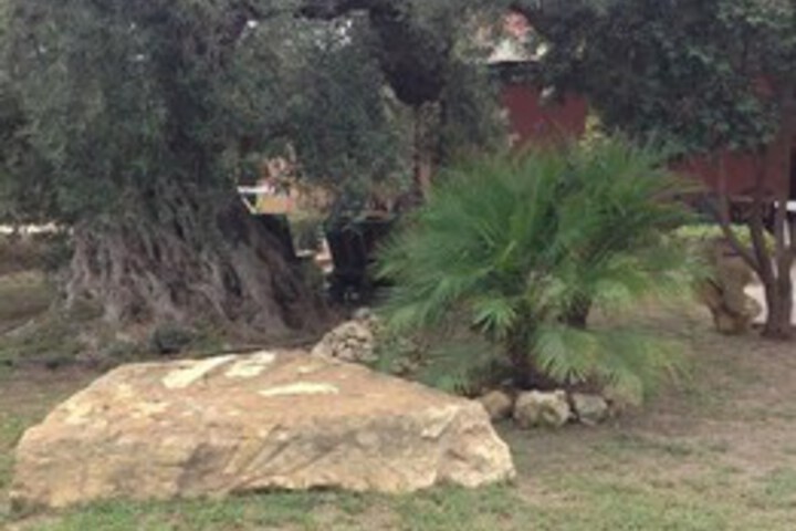 Property Grounds 24 of 32
