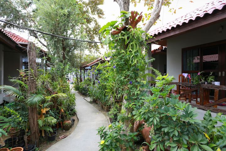 View from room