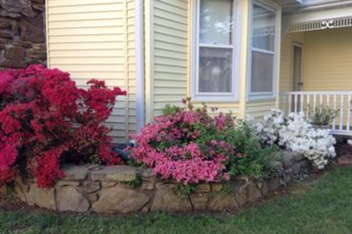 Property Grounds 43 of 49