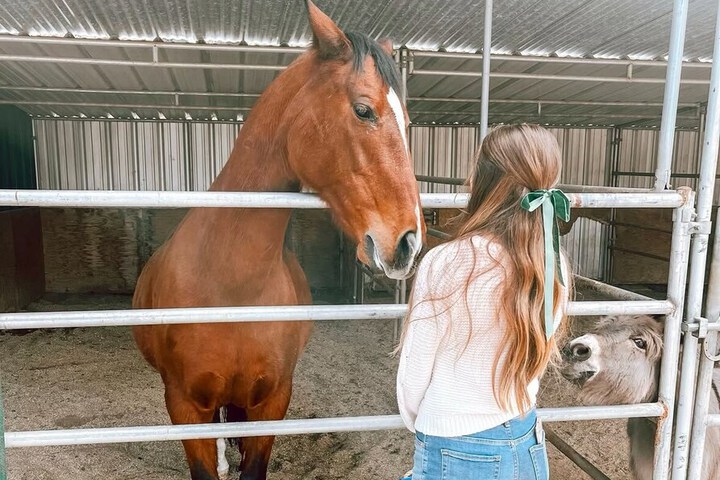 Hotel Exterior 84 of 126