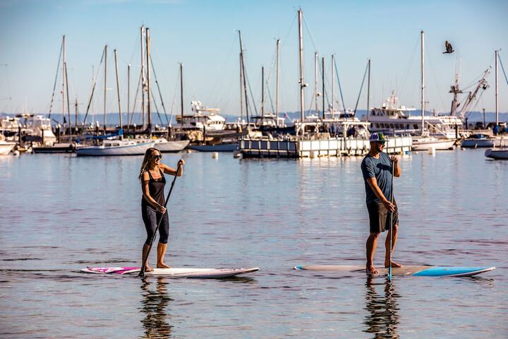 Surfing/boogie boarding