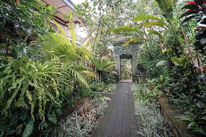 Photo 5