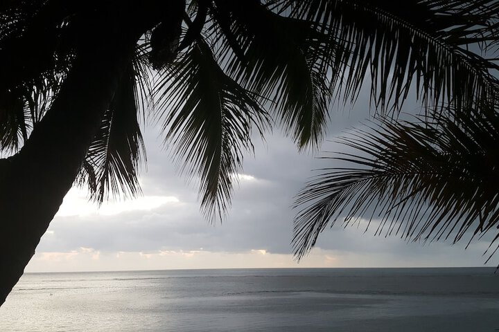 Beach 78 of 96