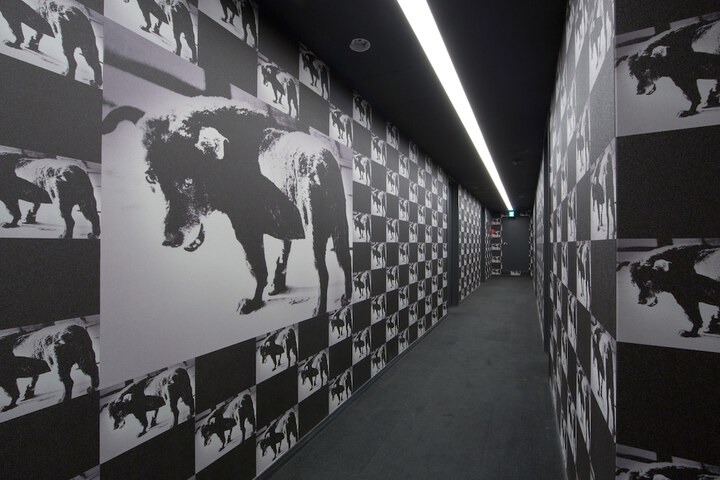 Ballroom/Hall 22 of 25