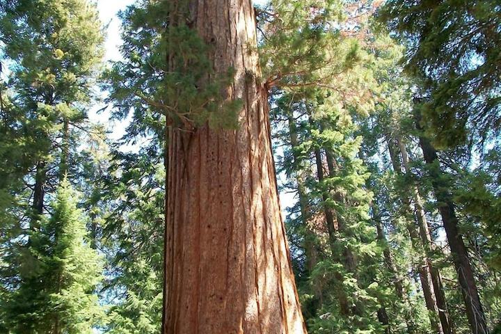 Property Grounds 9 of 14