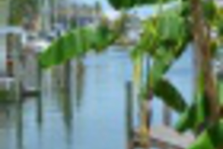 Hotel Exterior 15 of 576