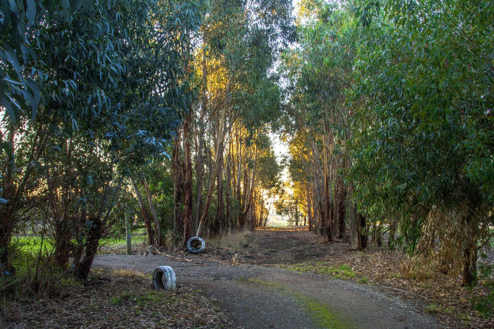 Property Grounds 19 of 25