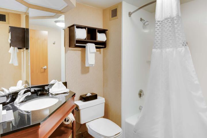 1 Queen Bed Accessible (1 of 19)