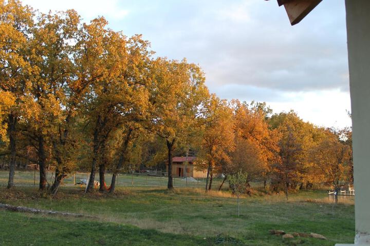 Property Grounds 47 of 68