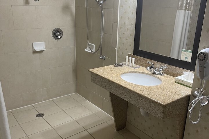 1 King Accessible with Roll in Shower (30 of 39)