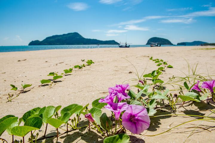 Beach 146 of 164