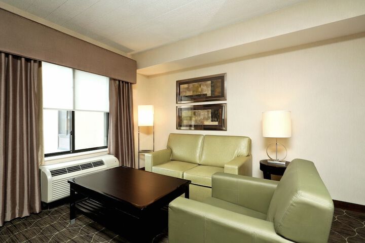1 King Hearing Accessible Studio with Sofa Bed (12 of 19)