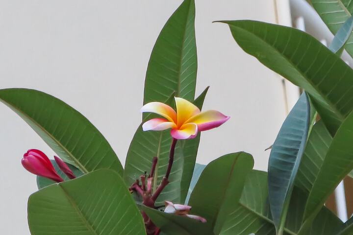 Hotel Exterior 47 of 51