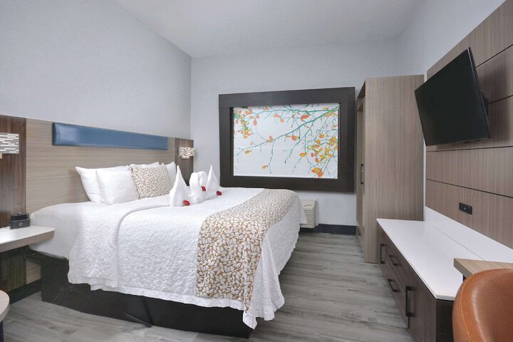 Standard | King Bed (9 of 31)