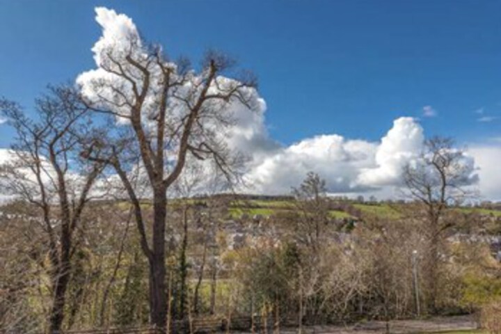 Spa and Wellness Pictures