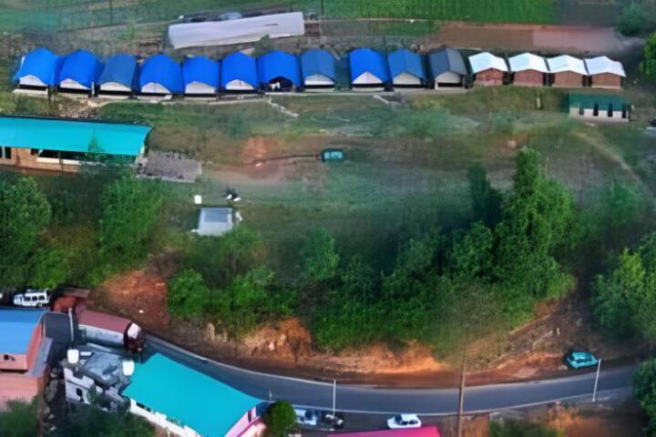Wild Roots Camps & Resorts