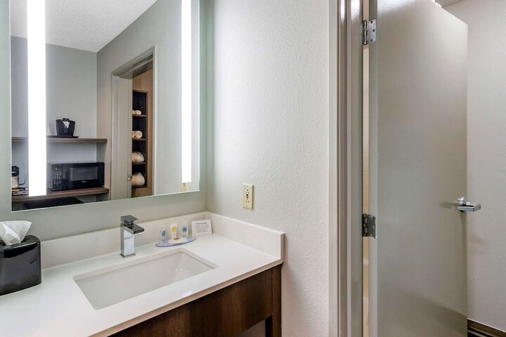 1 King Bed Pet Friendly (3 of 13)