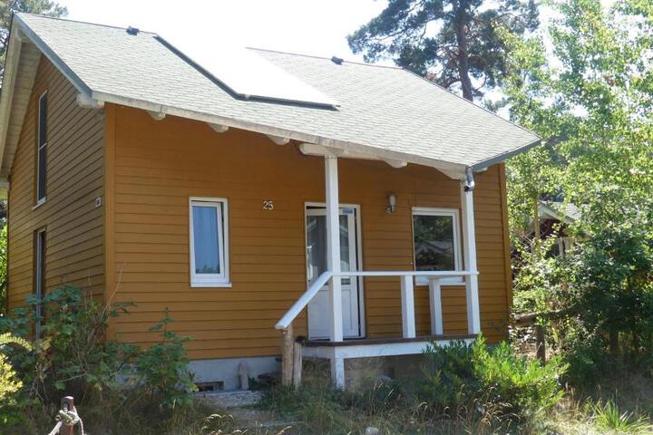 zu Haus in der Ferne