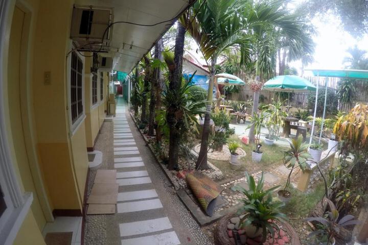 Photo 5