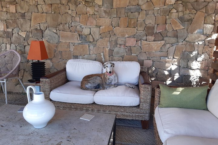 Terrace/Patio 20 of 59