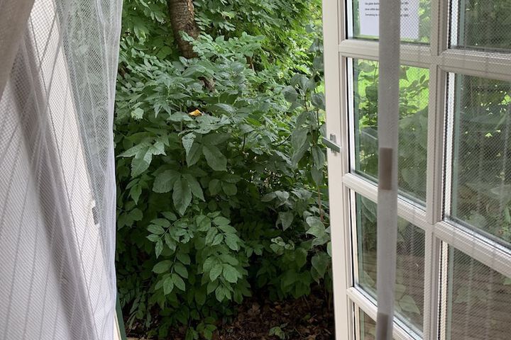 Room 42 of 112
