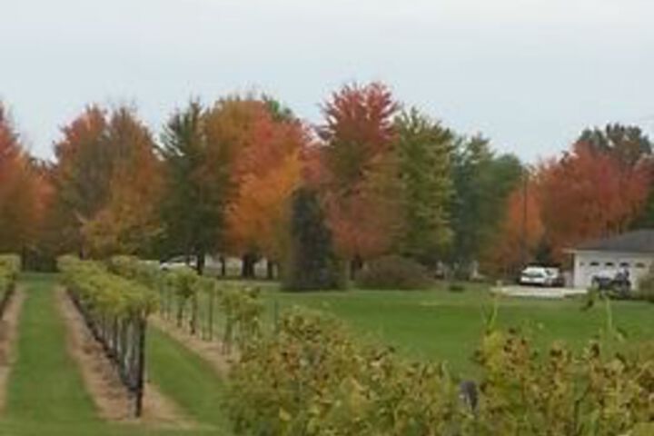 Property Grounds 18 of 19