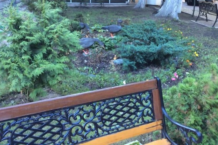 Property Grounds 20 of 22