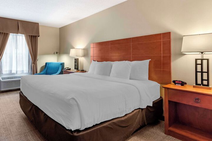 1 King Bed (3 of 8)