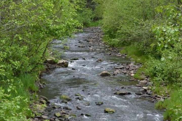 Property Grounds 28 of 41