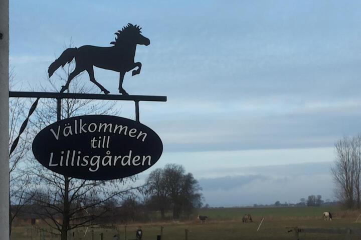 Lägenhet Lillisgården