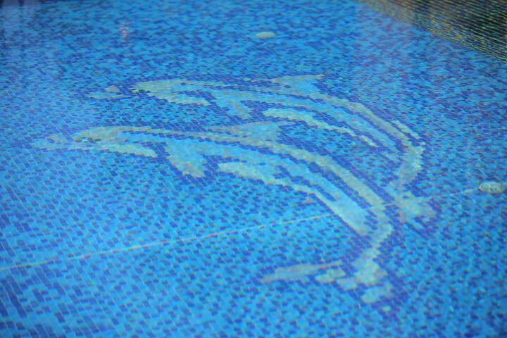 Pool 30 of 49