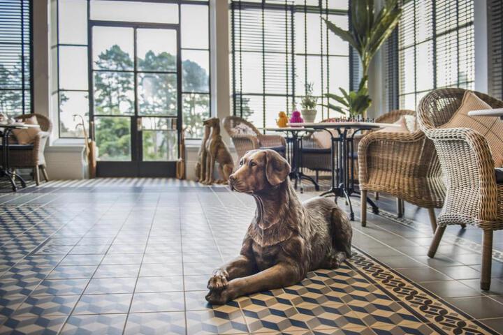 Spa and Wellness Pictures