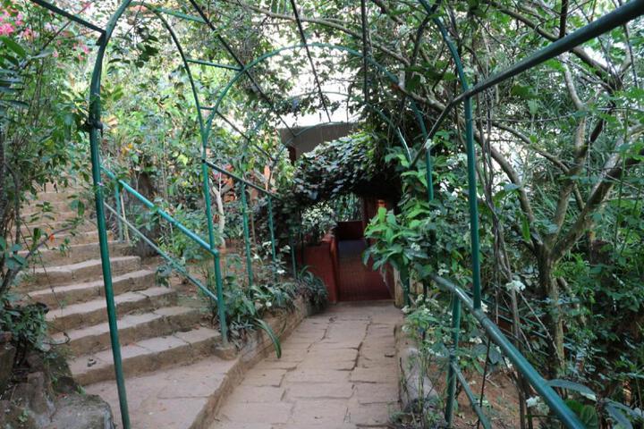 Photo 16