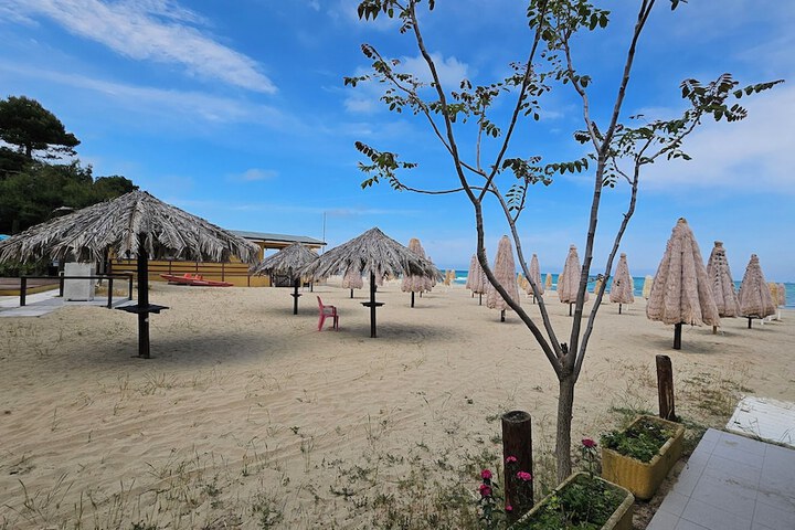 Beach 50 of 65