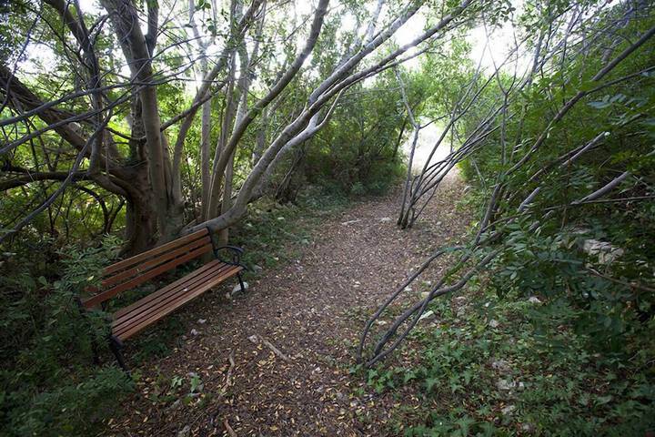 Property Grounds 63 of 74