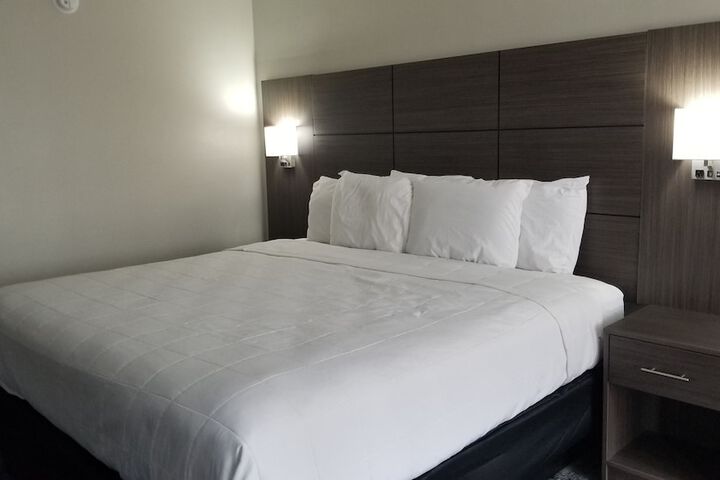 1 King Bed (4 of 11)