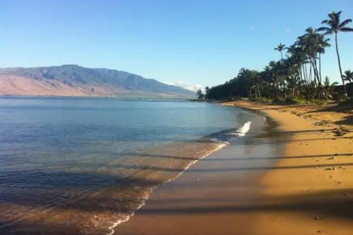 Beach 7 of 14