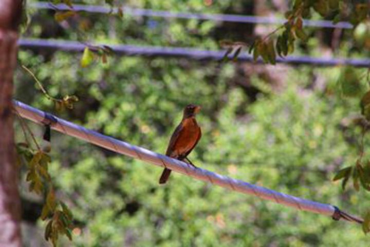 Property Grounds 62 of 75