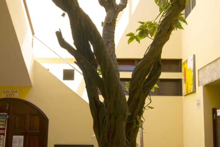 Terrace/Patio 64 of 73
