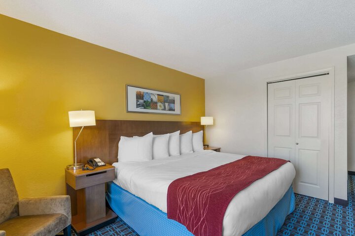 1 King Bed (11 of 20)