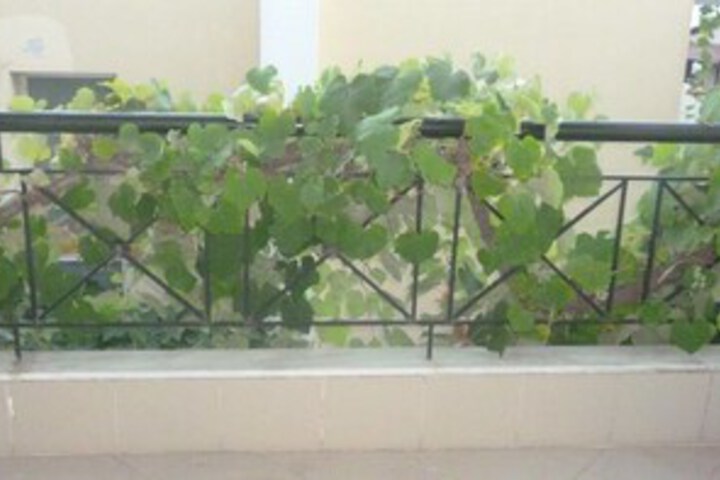 Terrace/Patio 2 of 23