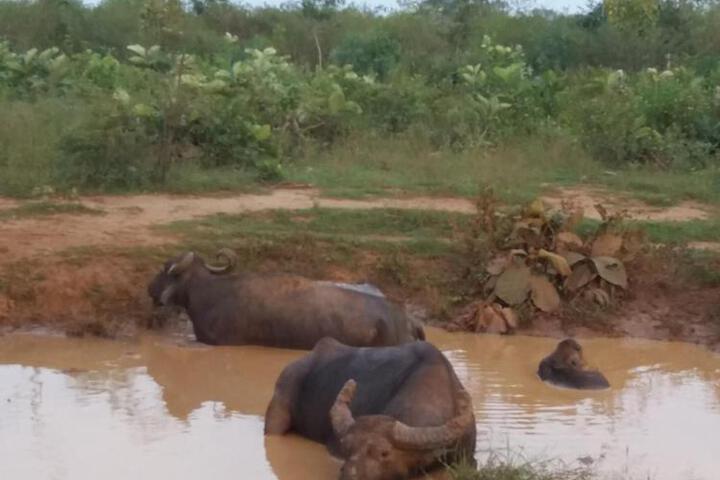 General 28 of 52