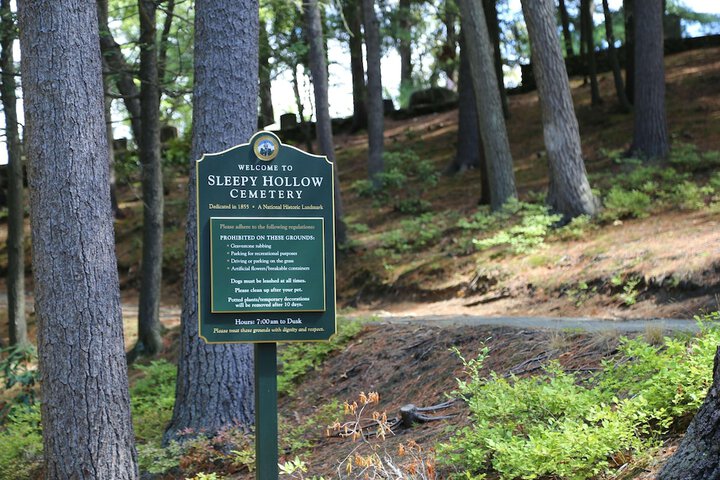 Property Grounds 26 of 45