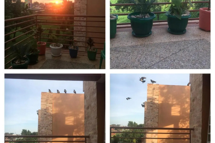 Hero Image 1 of 8