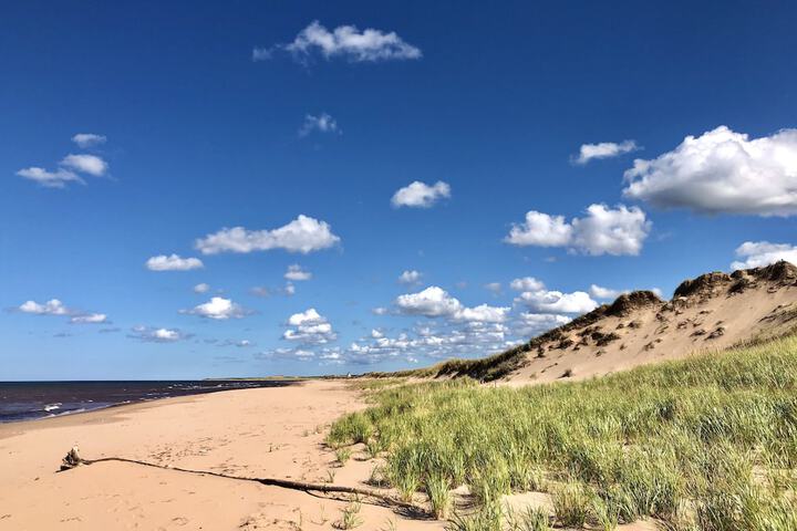 Beach 21 of 28