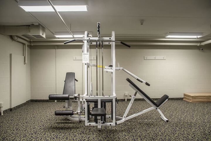 Gym & Fitness