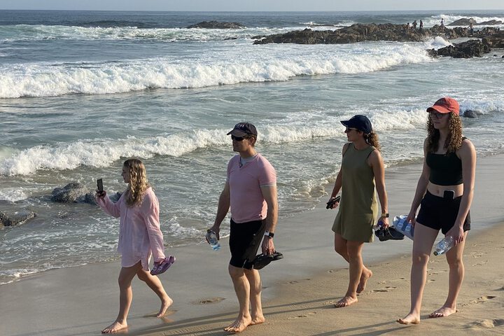 Beach 279 of 402