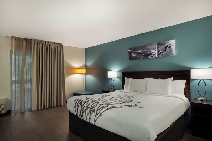 1 King Bed (10 of 18)