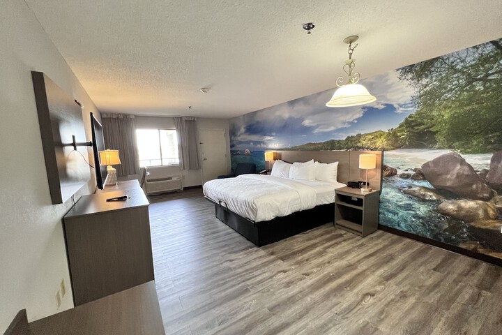 1 King Bed Accessible Upgrade (25 of 67)
