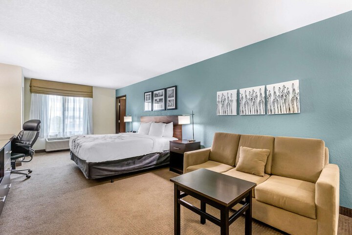 1 King Bed Mobility Accessible (12 of 29)